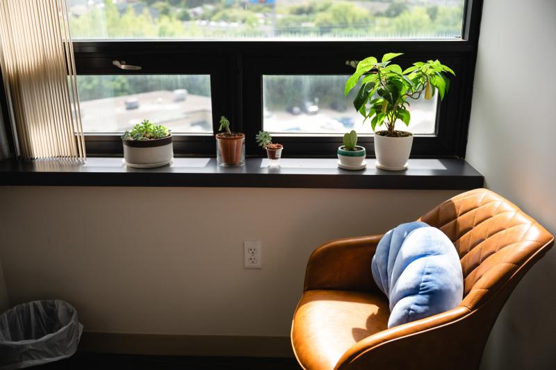 chair by a window with plants